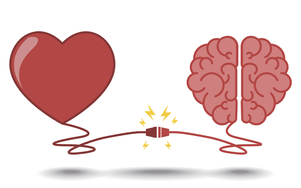 New Insights May Yield Improvements in Heart and Brain Health teaser image